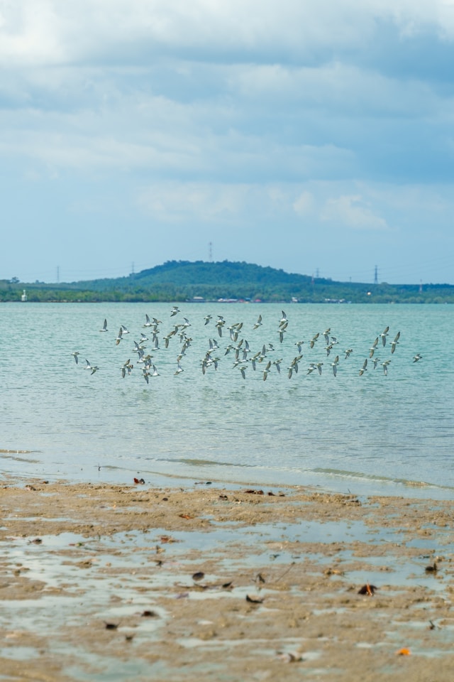 Lake Manyara National Park